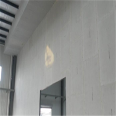 泊头宁波ALC板|EPS加气板隔墙与混凝土整浇联接的实验研讨